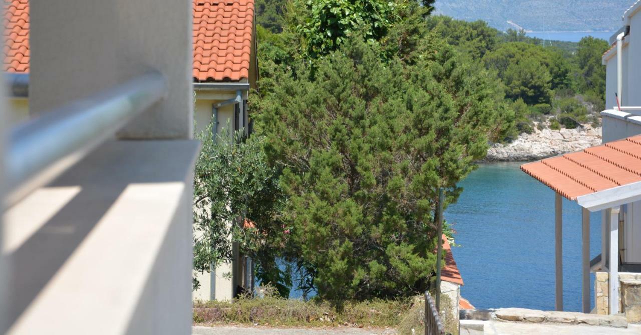 Apartmani Cesarec Basina Exterior foto